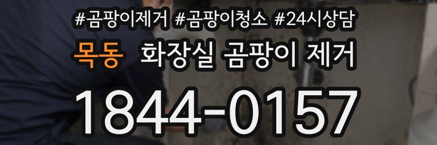 목동 화장실 곰팡이 제거