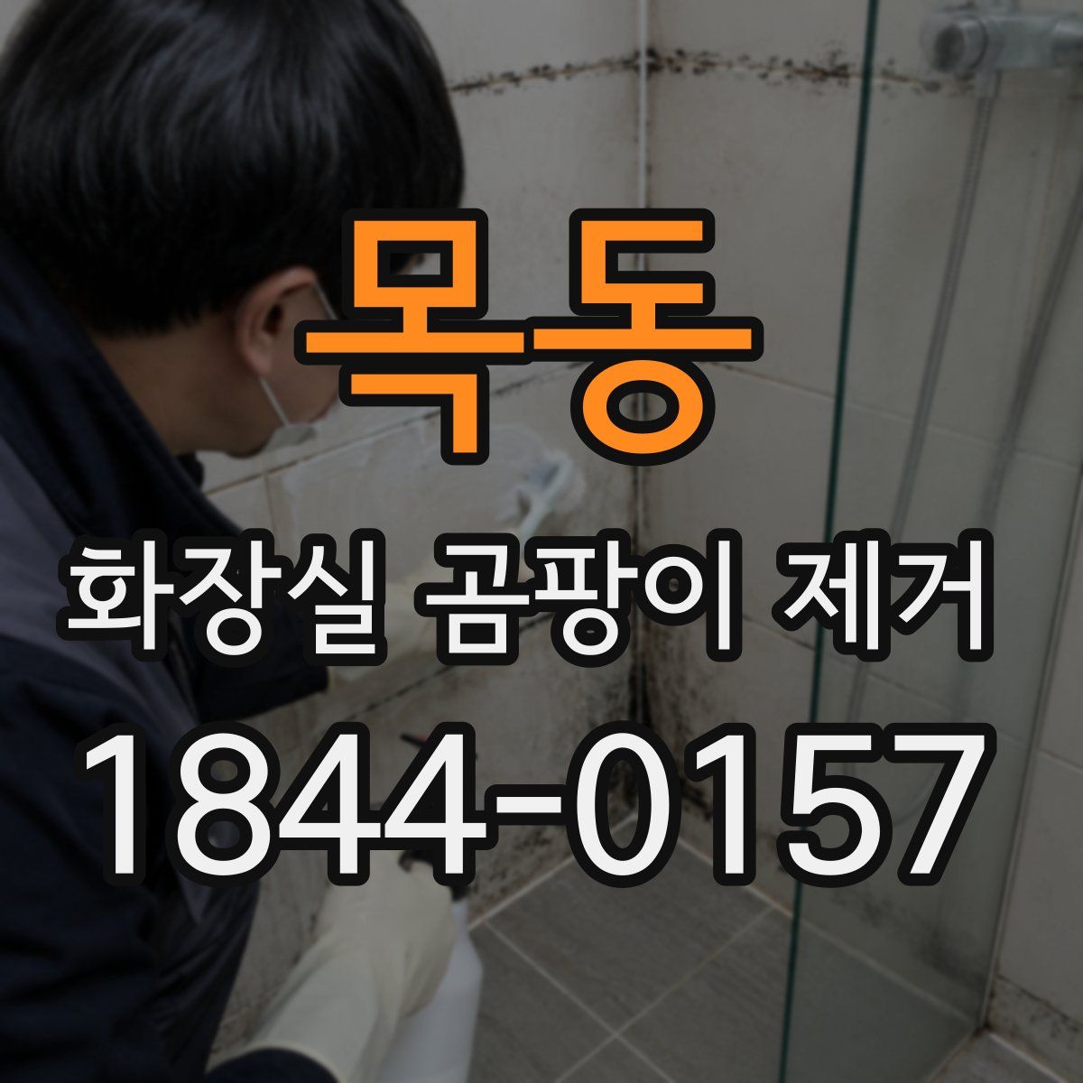 목동 화장실 곰팡이 제거