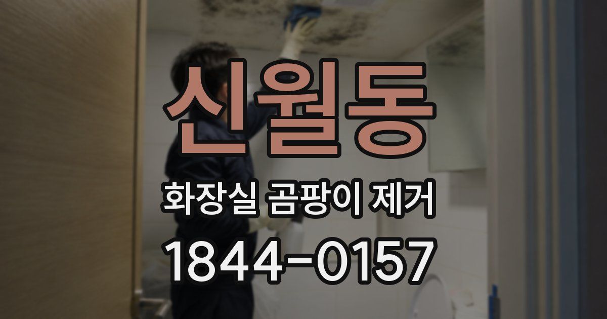 신월동 화장실 곰팡이 제거