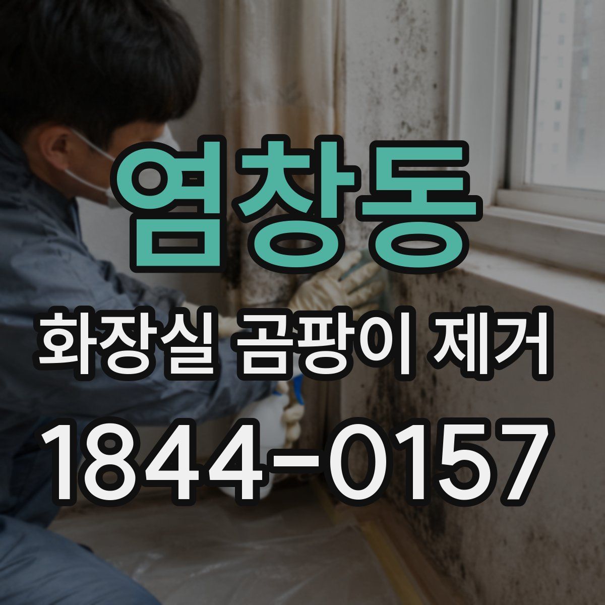 염창동 화장실 곰팡이 제거