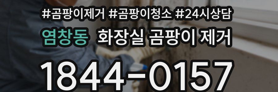 염창동 화장실 곰팡이 제거