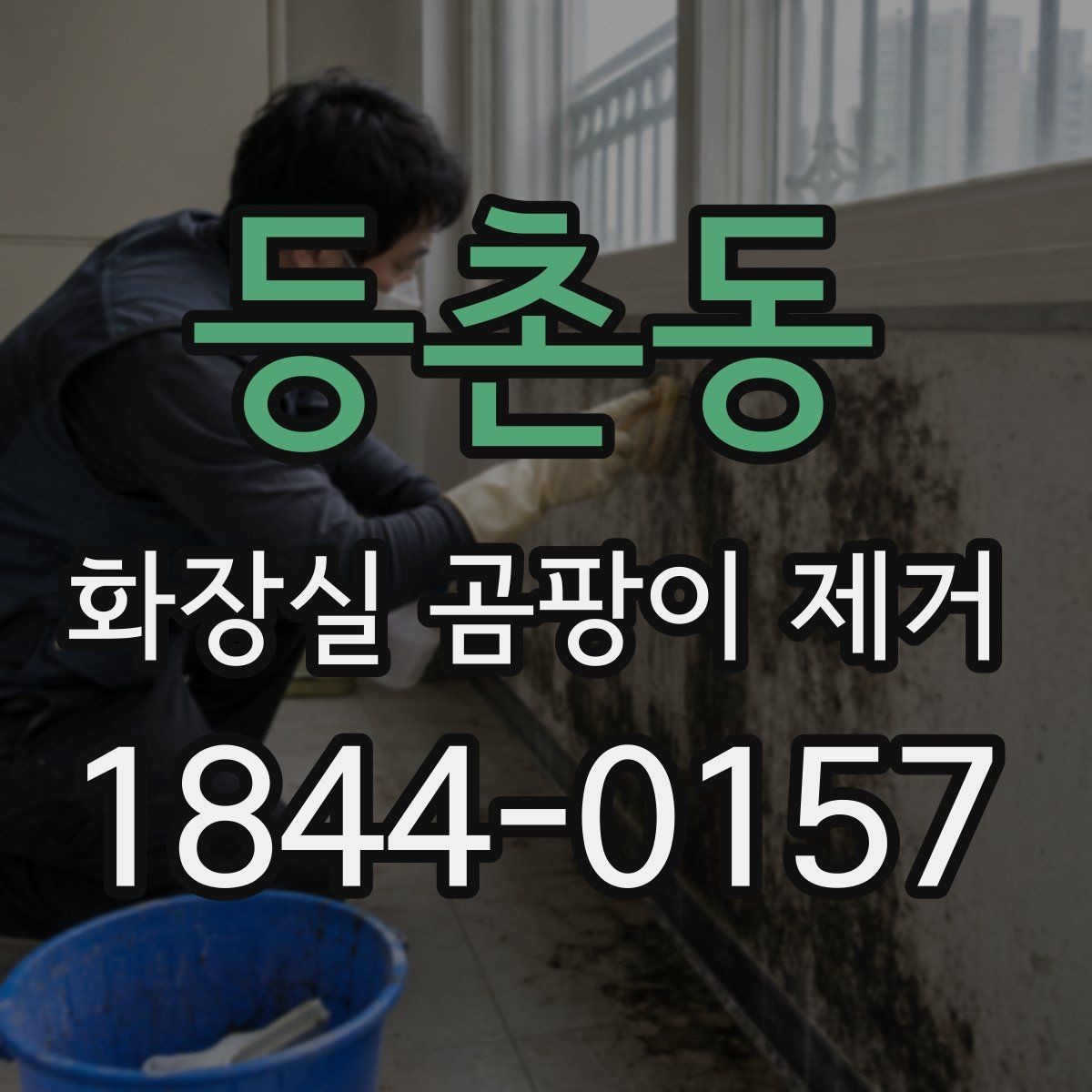 등촌동 화장실 곰팡이 제거 세제 반응이 약할 때 바꿔볼 방식