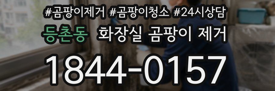 등촌동 화장실 곰팡이 제거
