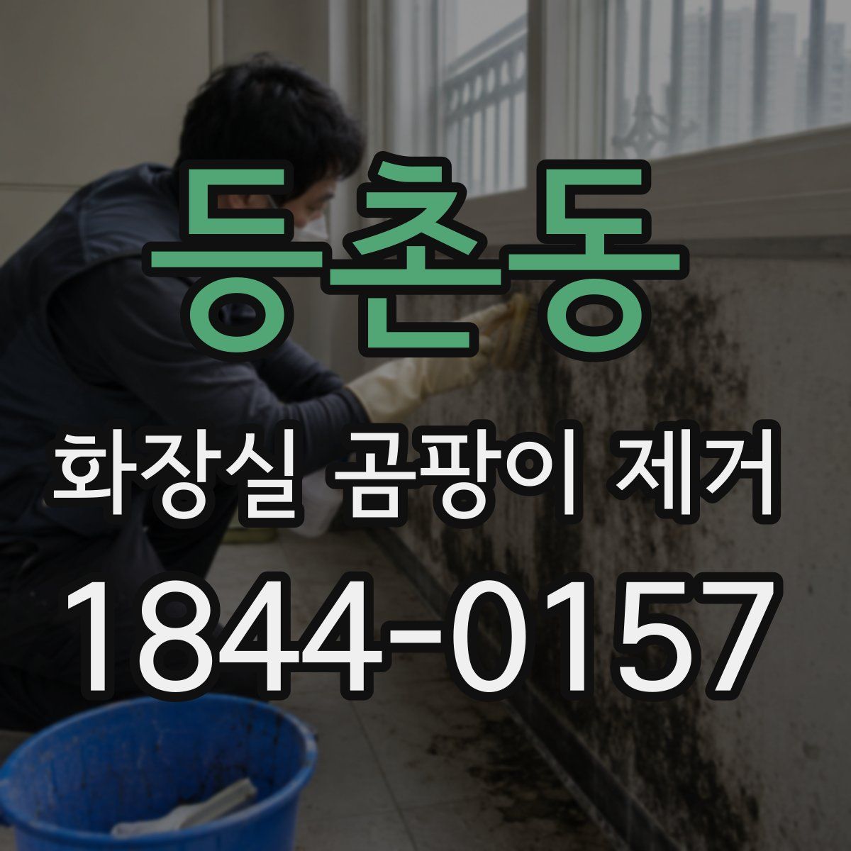 등촌동 화장실 곰팡이 제거