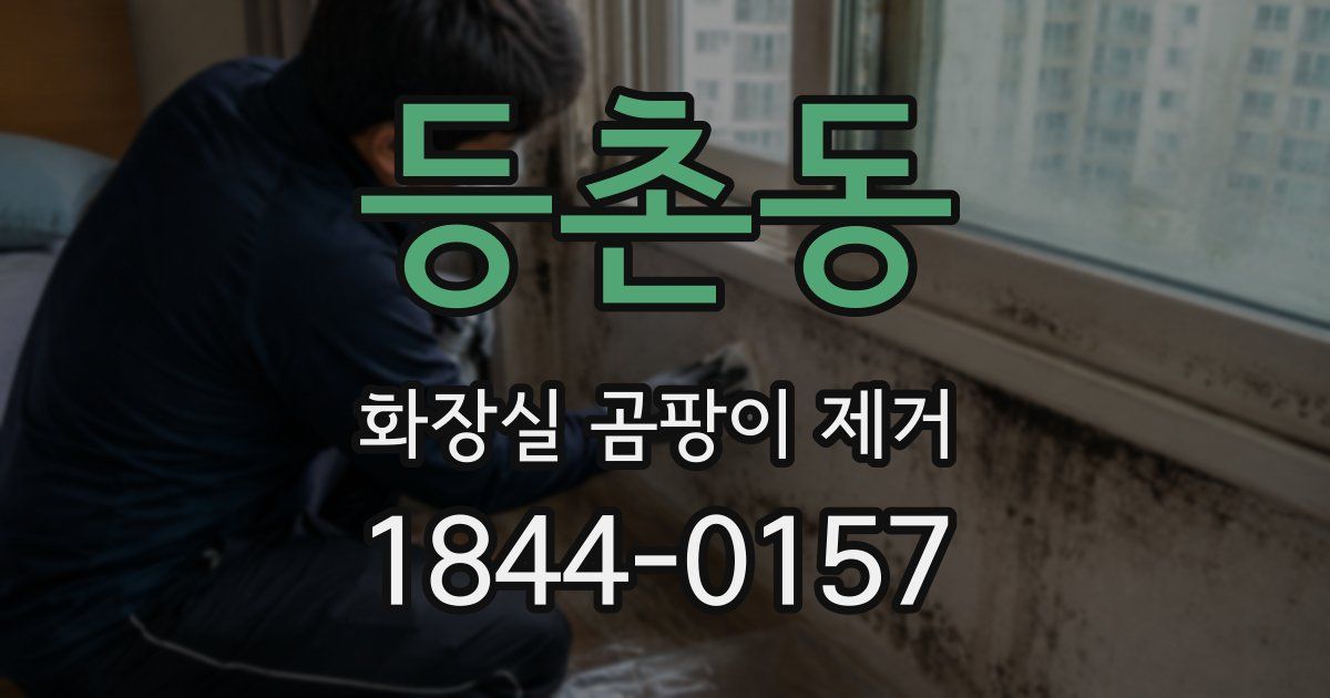 등촌동 화장실 곰팡이 제거