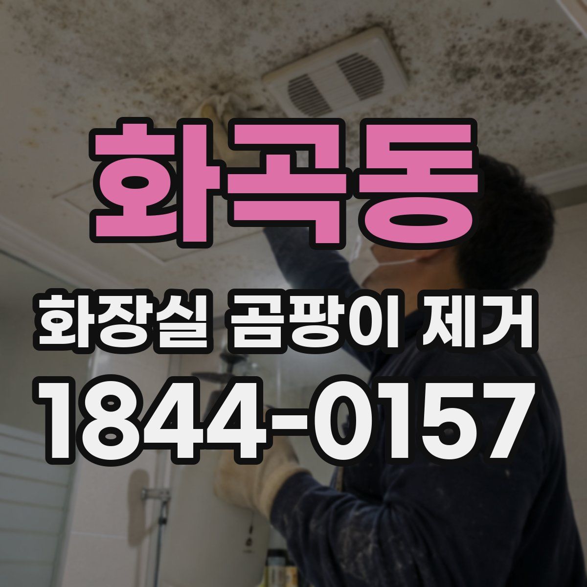 화곡동 화장실 곰팡이 제거