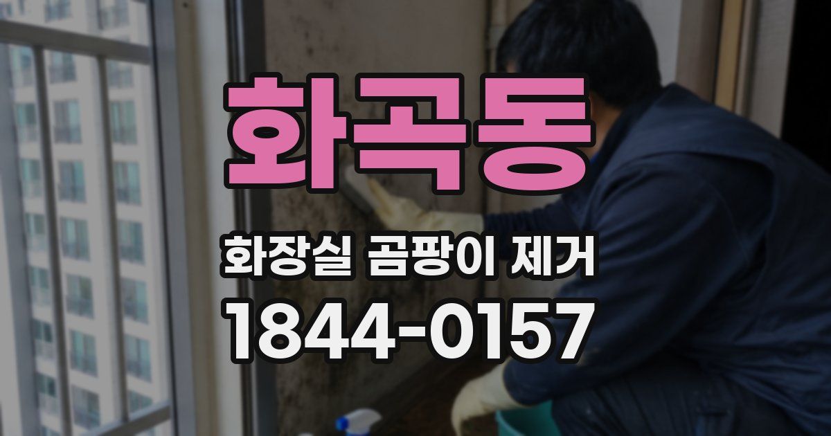 화곡동 화장실 곰팡이 제거