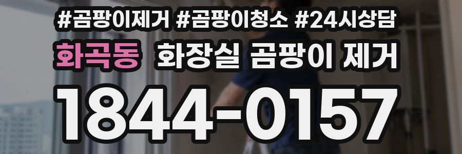 화곡동 화장실 곰팡이 제거