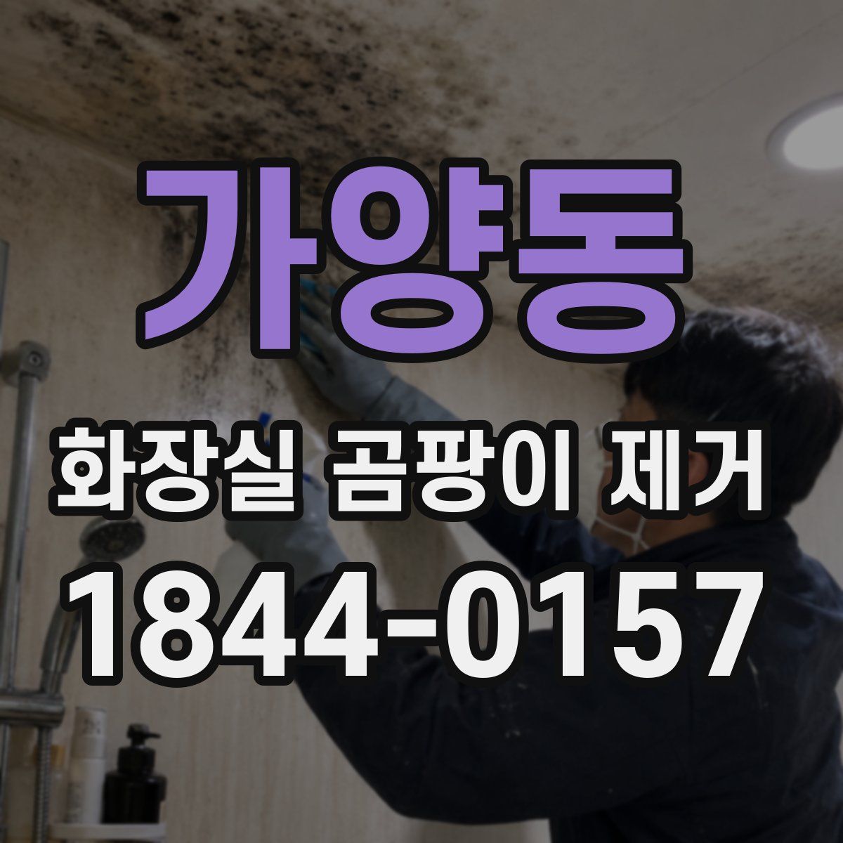 가양동 화장실 곰팡이 제거