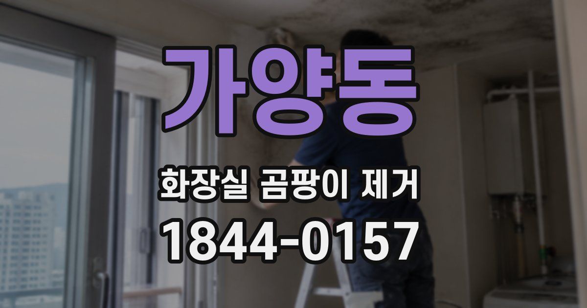 가양동 화장실 곰팡이 제거