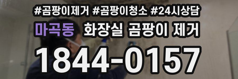 마곡동 화장실 곰팡이 제거