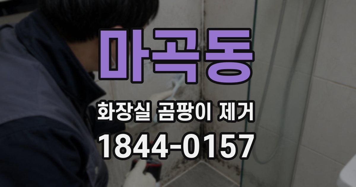 마곡동 화장실 곰팡이 제거
