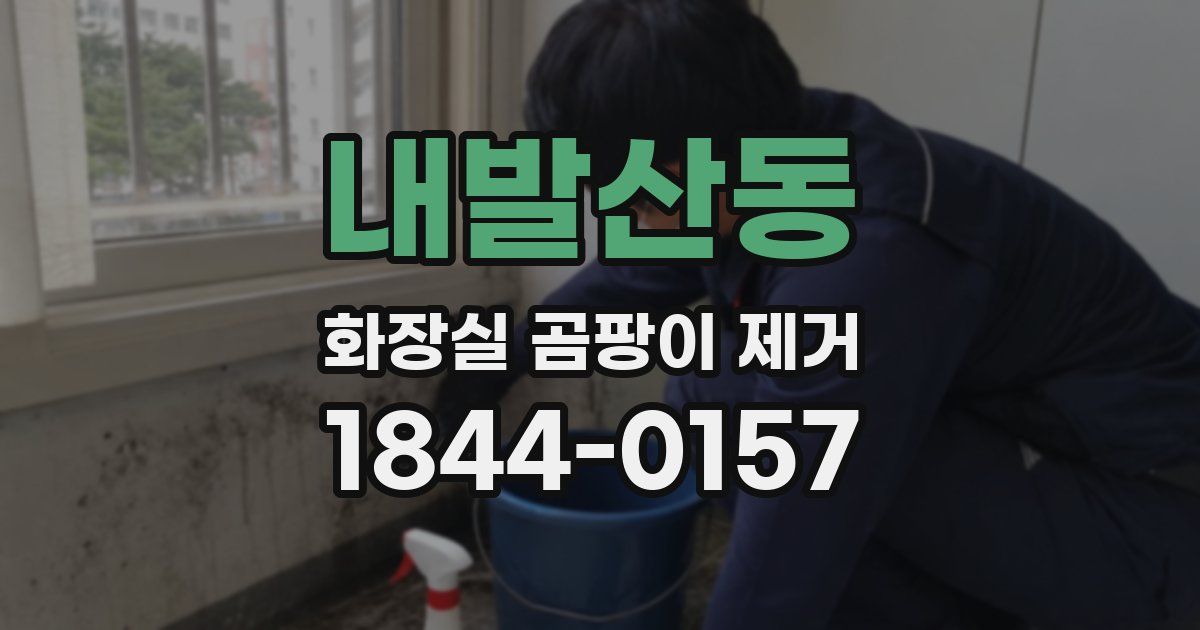 내발산동 화장실 곰팡이 제거