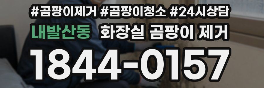 내발산동 화장실 곰팡이 제거