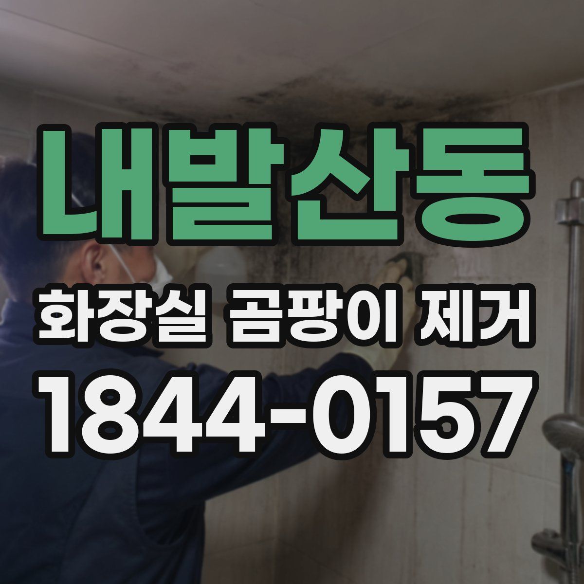 내발산동 화장실 곰팡이 제거
