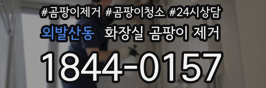 외발산동 화장실 곰팡이 제거
