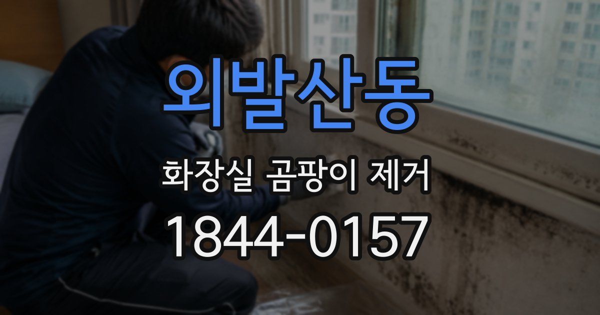 외발산동 화장실 곰팡이 제거