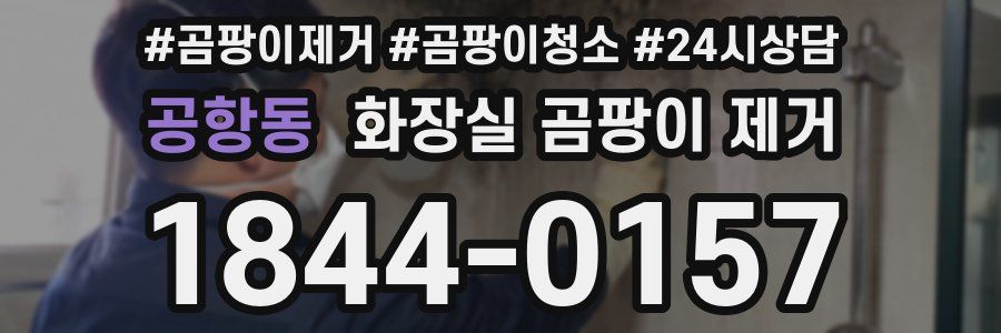 공항동 화장실 곰팡이 제거