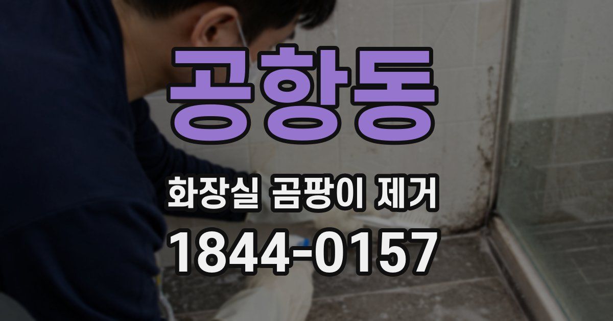 공항동 화장실 곰팡이 제거