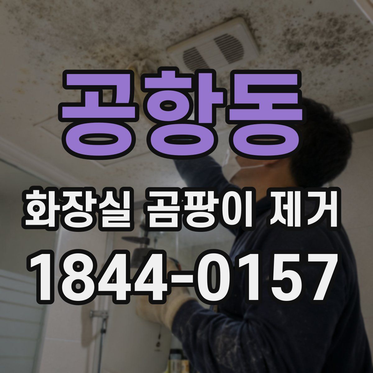 공항동 화장실 곰팡이 제거