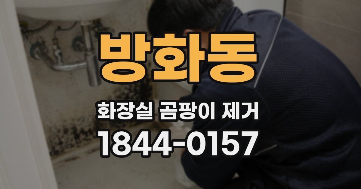 방화동 화장실 곰팡이 제거