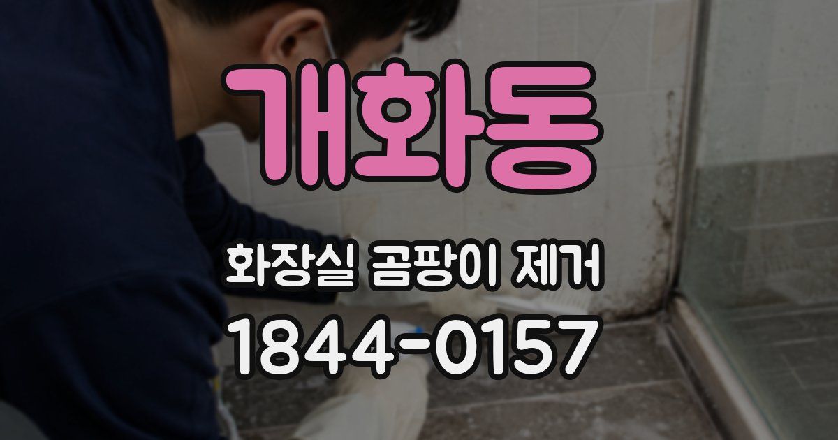 개화동 화장실 곰팡이 제거