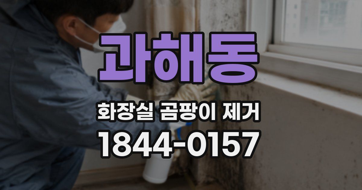 과해동 화장실 곰팡이 제거