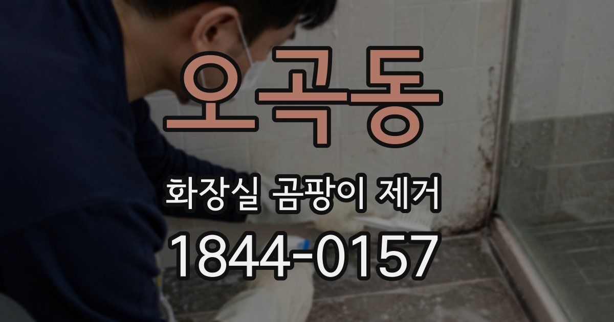 오곡동 화장실 곰팡이 제거