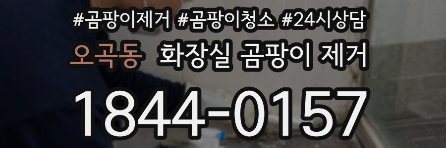 오곡동 화장실 곰팡이 제거