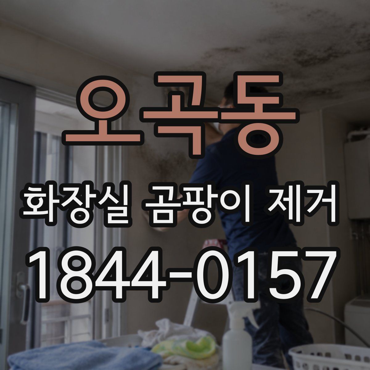 오곡동 화장실 곰팡이 제거