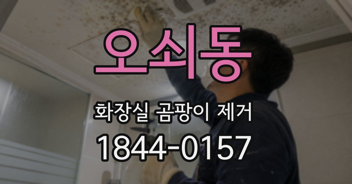 오쇠동 화장실 곰팡이 제거