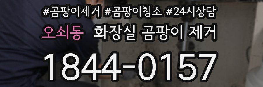 오쇠동 화장실 곰팡이 제거
