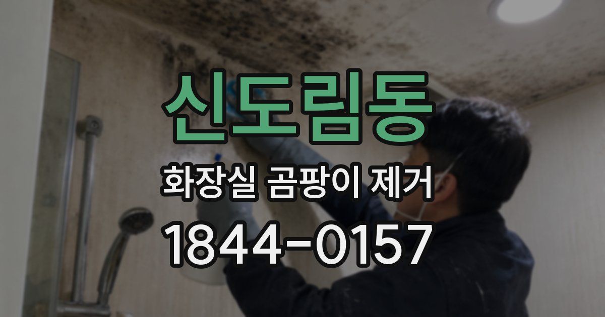 신도림동 화장실 곰팡이 제거