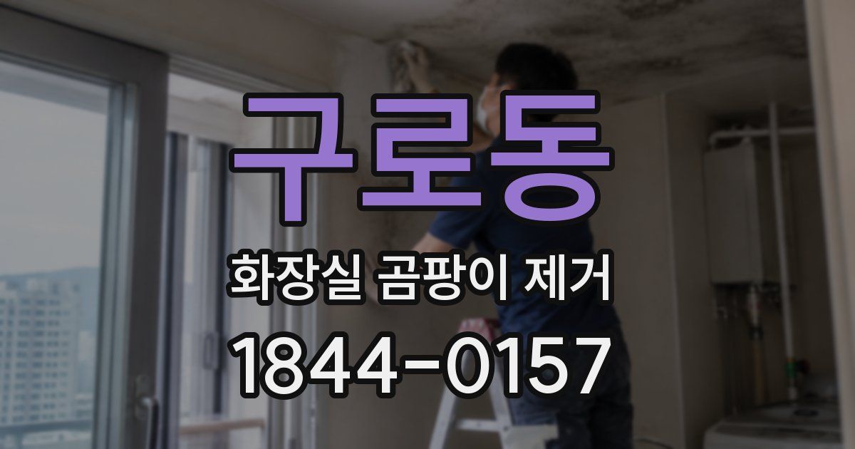 구로동 화장실 곰팡이 제거