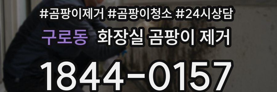 구로동 화장실 곰팡이 제거