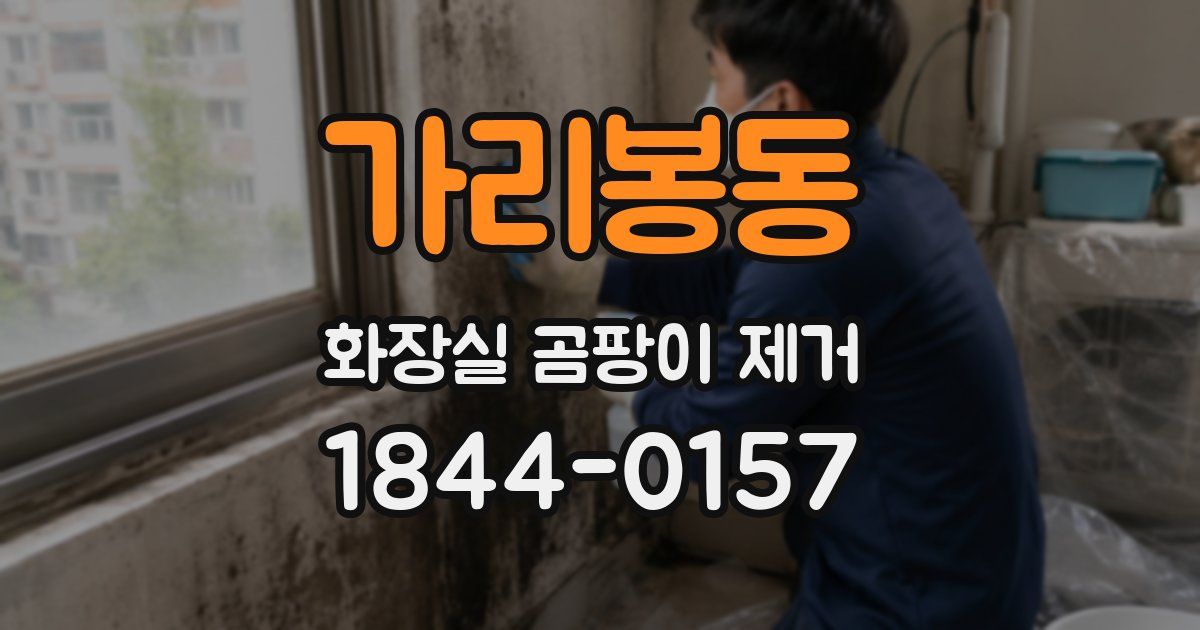 가리봉동 화장실 곰팡이 제거