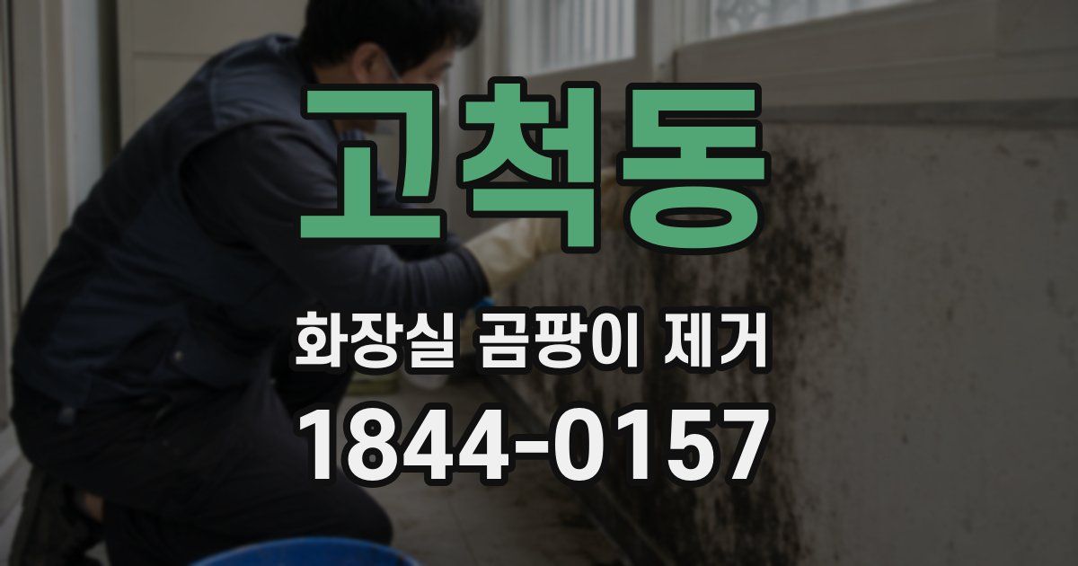 고척동 화장실 곰팡이 제거