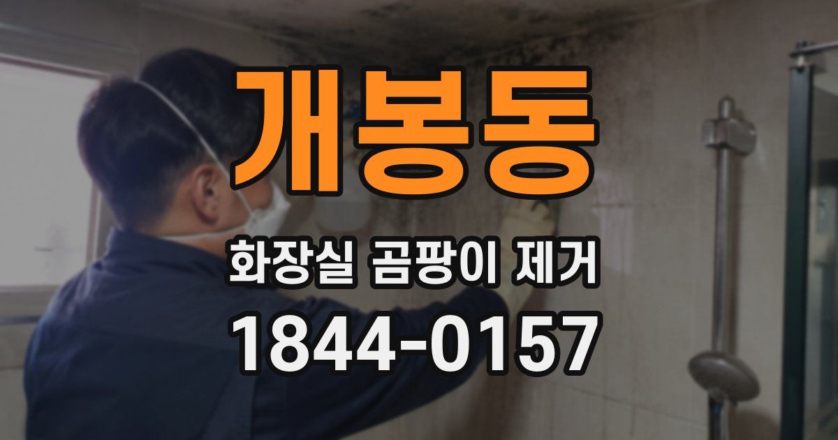 개봉동 화장실 곰팡이 제거