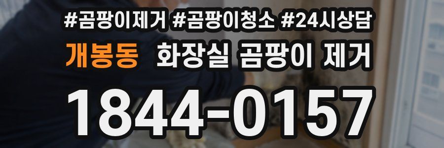 개봉동 화장실 곰팡이 제거
