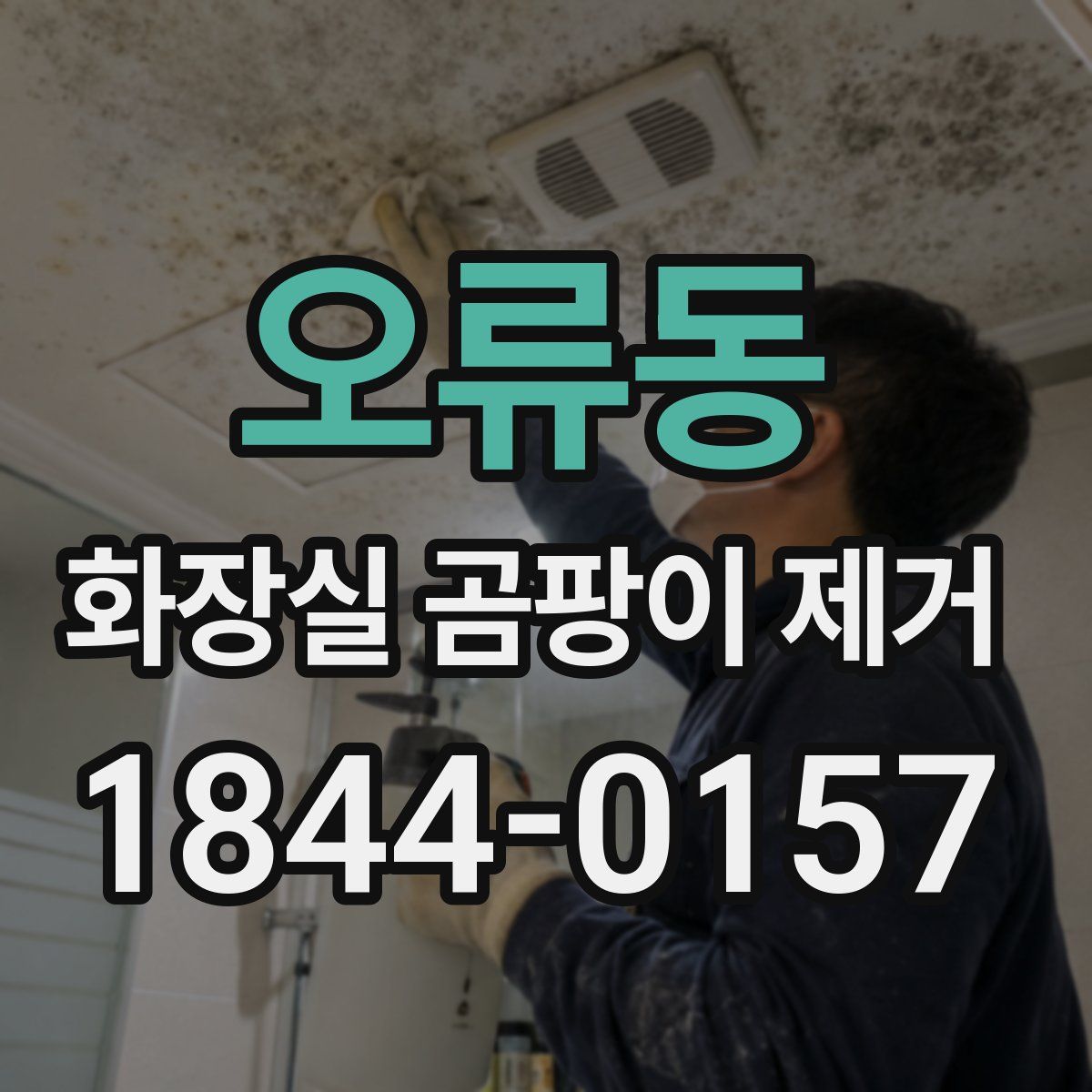 오류동 화장실 곰팡이 제거
