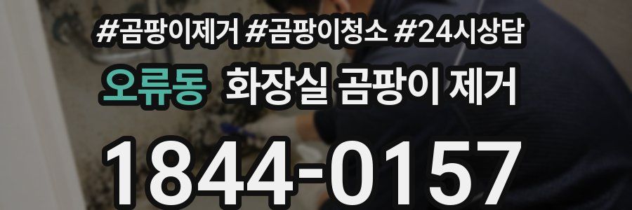 오류동 화장실 곰팡이 제거