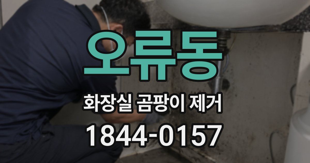 오류동 화장실 곰팡이 제거