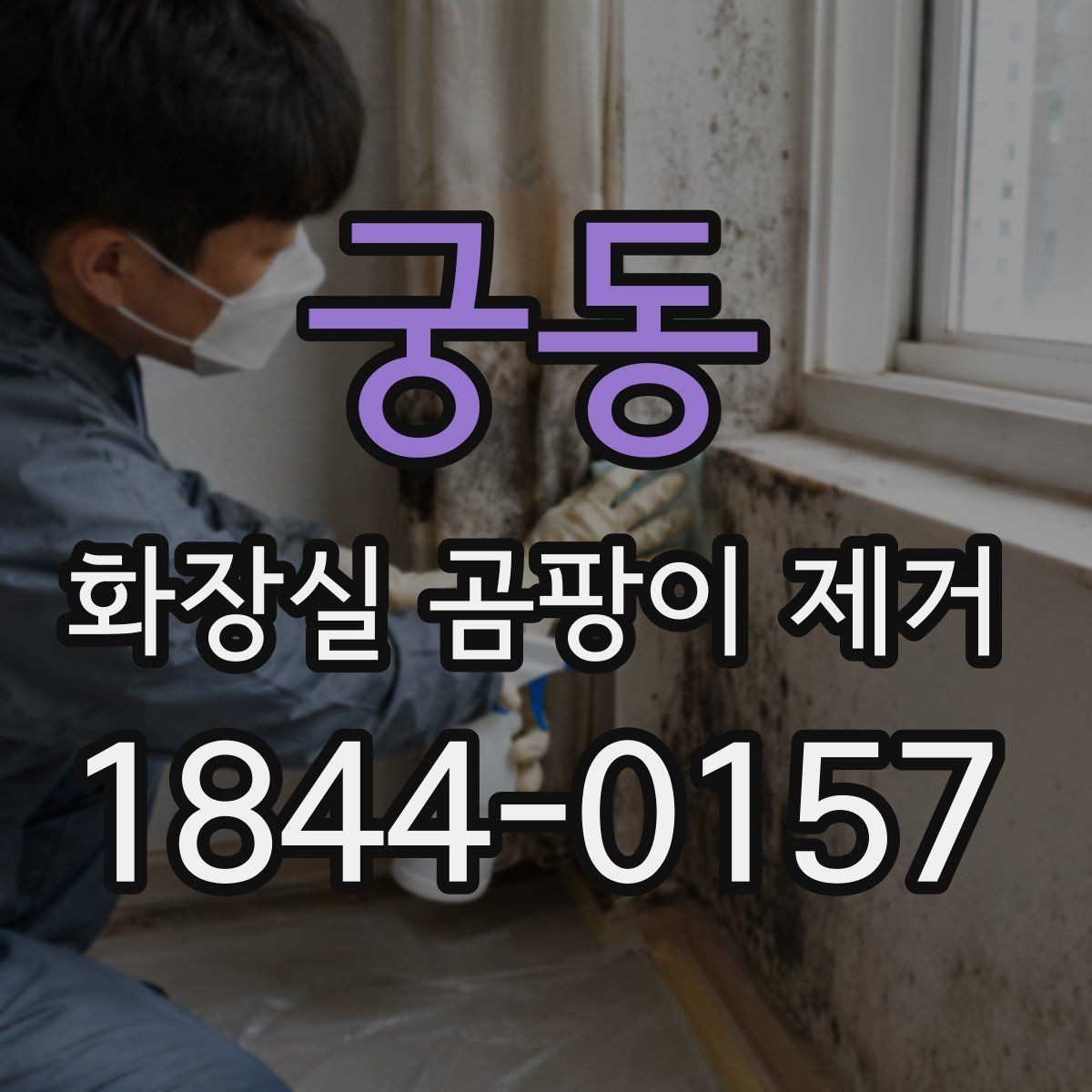 궁동 화장실 곰팡이 제거 곰팡이와 물때를 구분해 닦는 방법