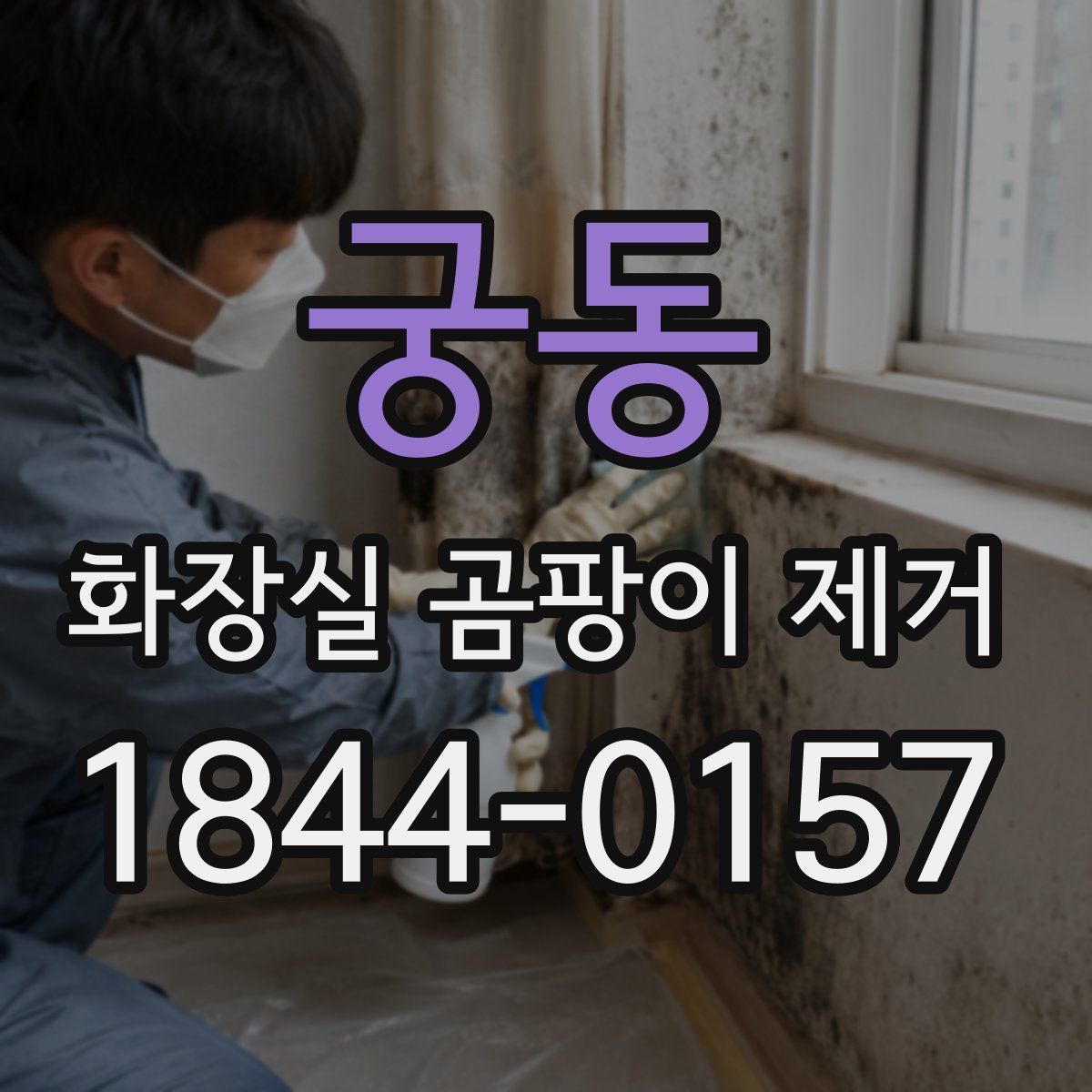 궁동 화장실 곰팡이 제거