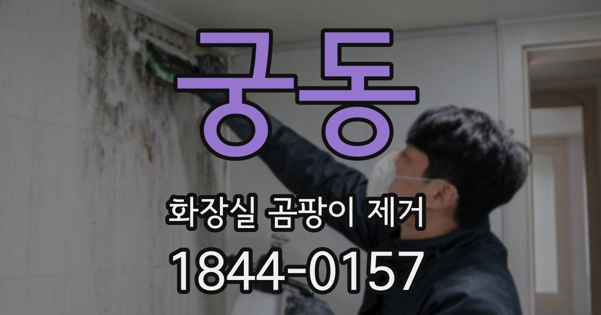 궁동 화장실 곰팡이 제거