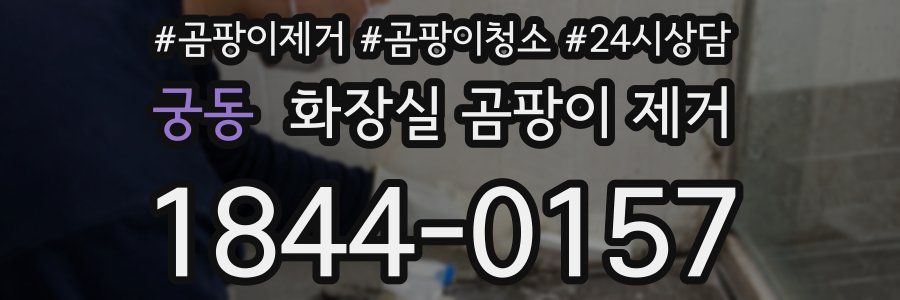 궁동 화장실 곰팡이 제거