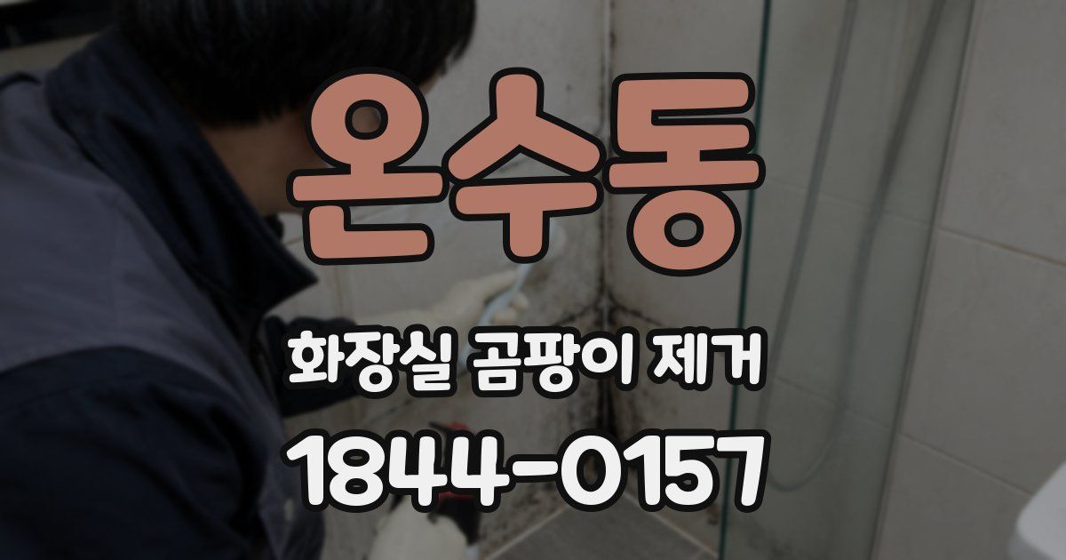온수동 화장실 곰팡이 제거