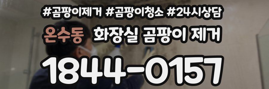 온수동 화장실 곰팡이 제거