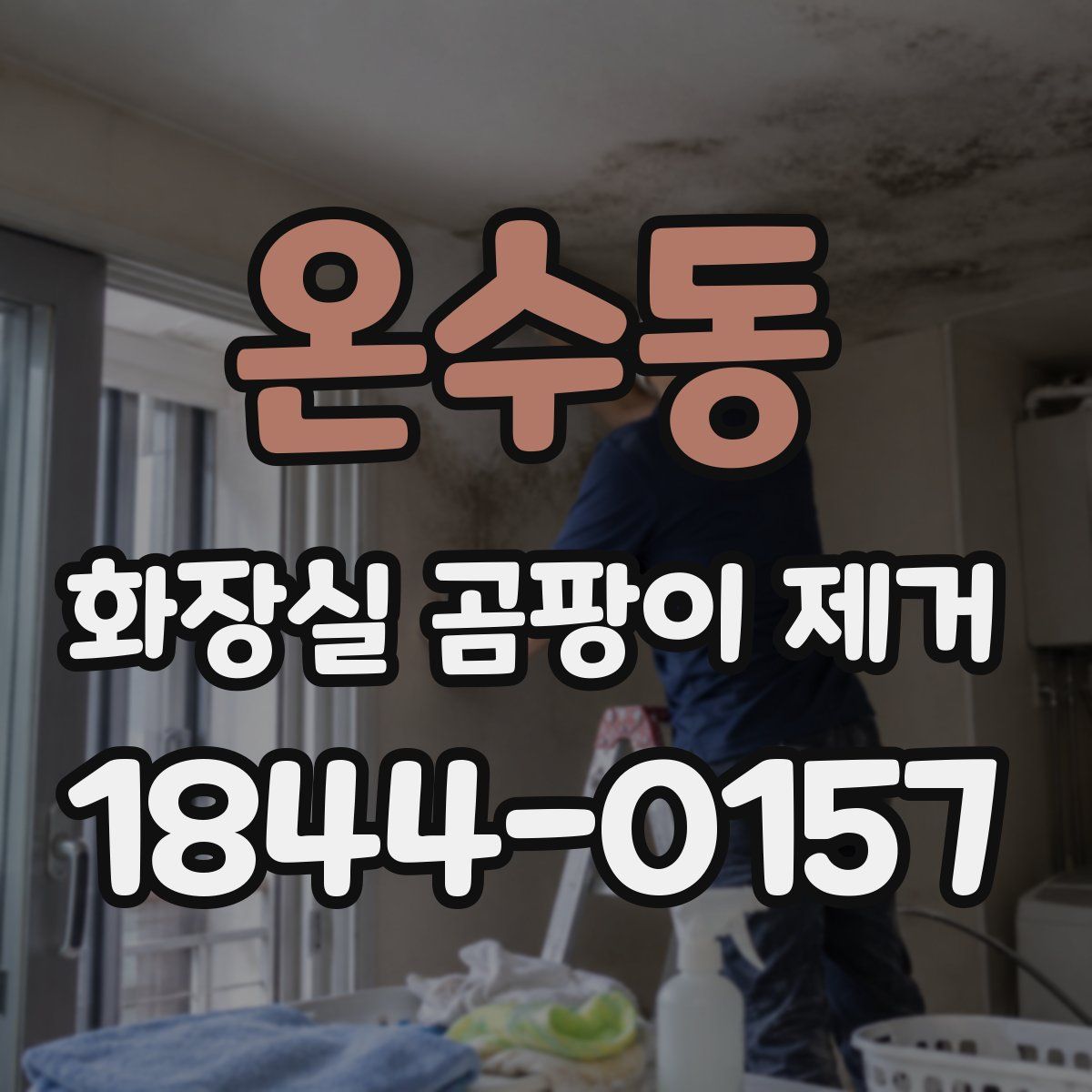 온수동 화장실 곰팡이 제거