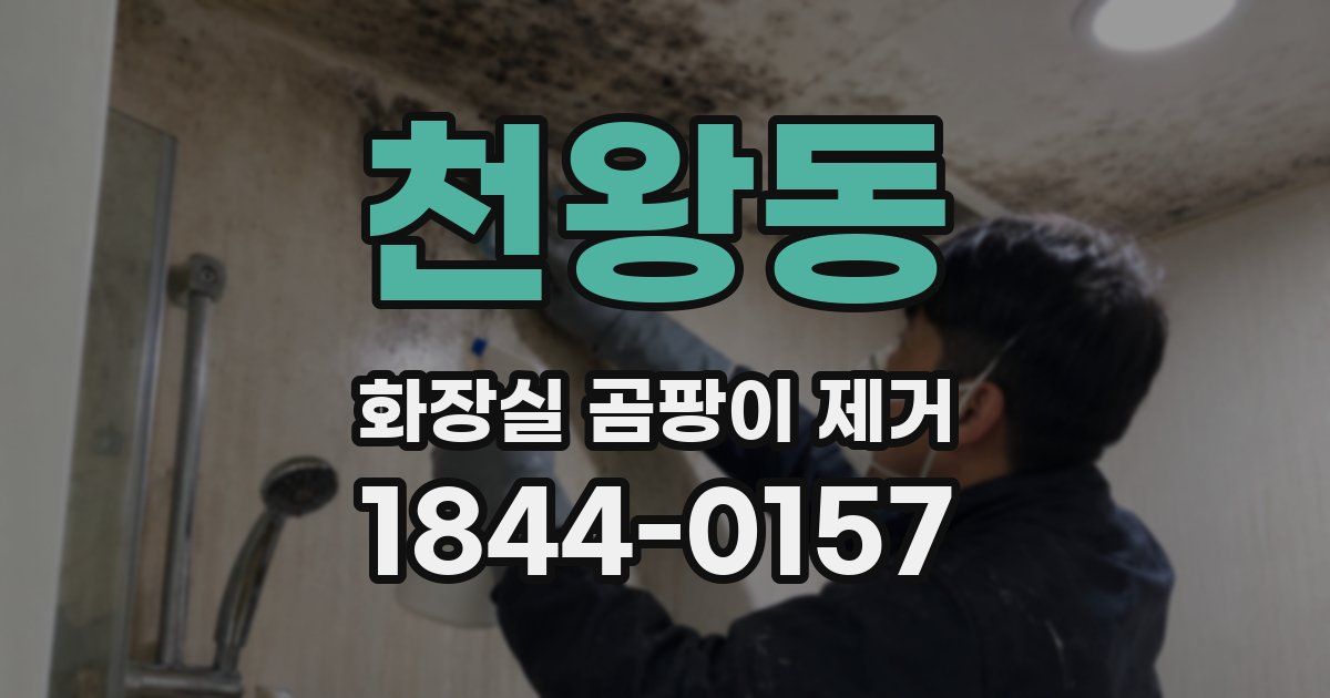 천왕동 화장실 곰팡이 제거